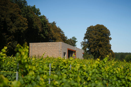 Le 5 septembre 2025 – inauguration du chai et balade dans le vignoble